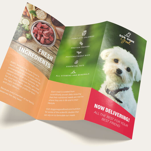 Shop Nova Business Brochures
